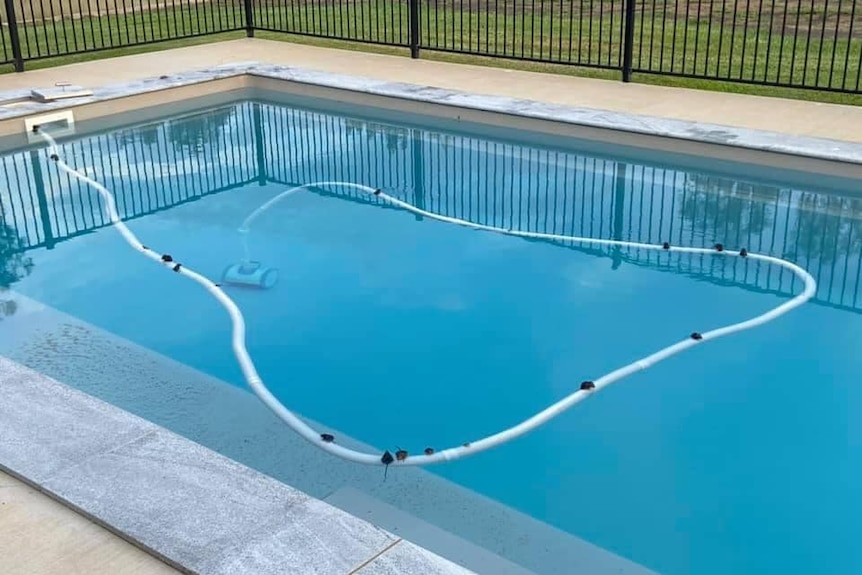 Dead mice in pool floating on the cord of the pool cleaner