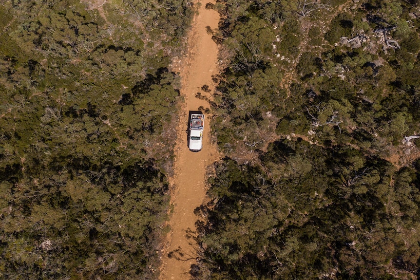 Overhead view of car driving up a bush track.