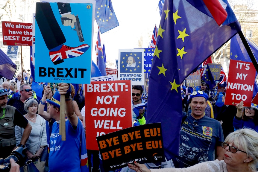 Dozens of protesters wave EU flags and hold pro-Brexit signs in a scrum on a London street.