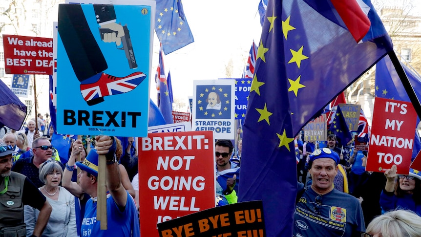Dozens of protesters wave EU flags and hold pro-Brexit signs in a scrum on a London street.
