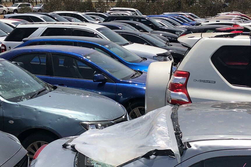 Rows of cars damaged with smashed windscreens and dented bonnets.