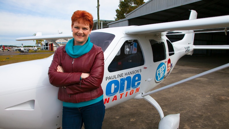 One Nation has denied breaching electoral laws by not declaring the donation of the plane.