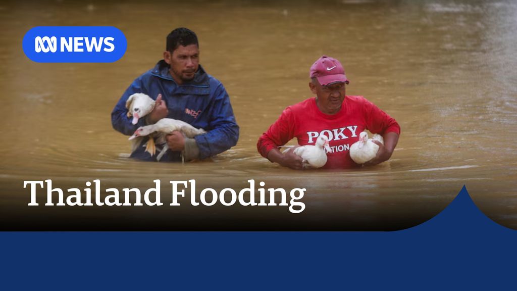 Thailand Flooding: Two men in waist deep floodwater holding two ducks each.
