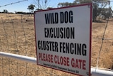 A RAPAD fencing sign stating 'Wild dog exclusion cluster fencing: please close gate'.