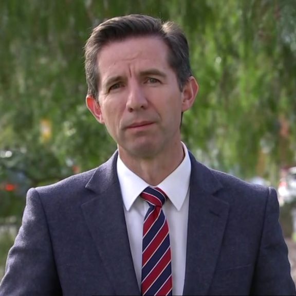 Simon Birmingham says the Government wants to help bring stranded Australians home