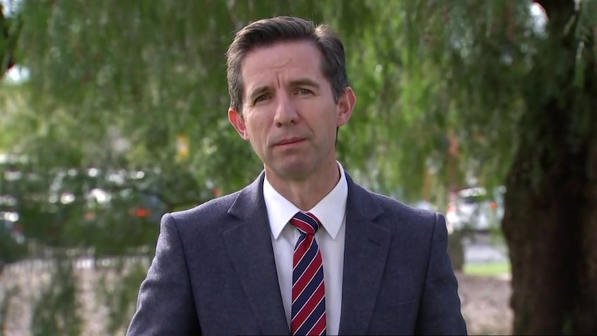 Simon Birmingham says the Government wants to help bring stranded Australians home