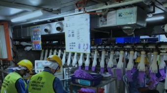 People work in a Malaysian glove factory.