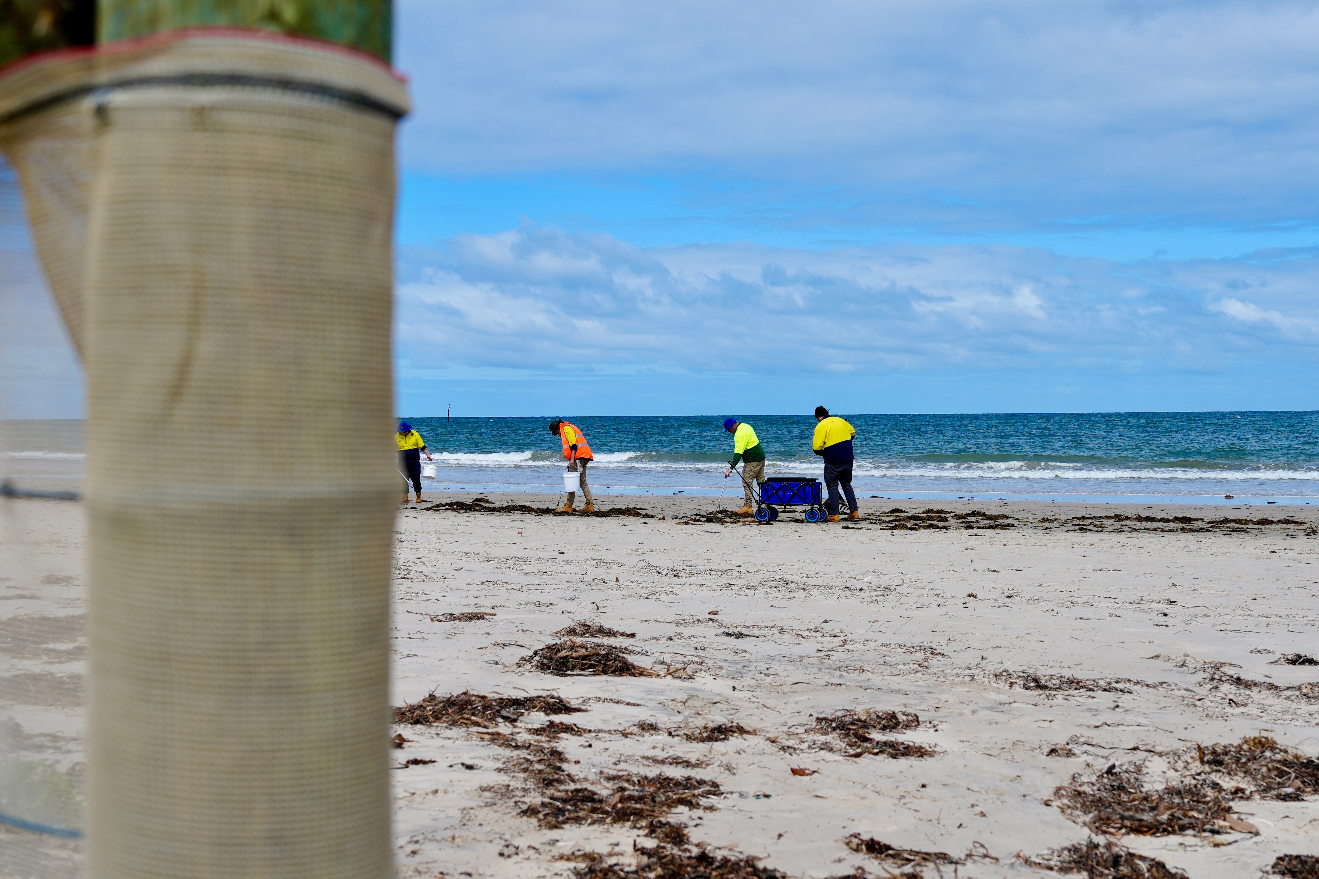 Cuatro personas con ropa de alta visibilidad con cubos y carros a lo largo de la orilla de una playa