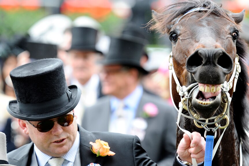 Moody with Black Caviar after Ascot victory