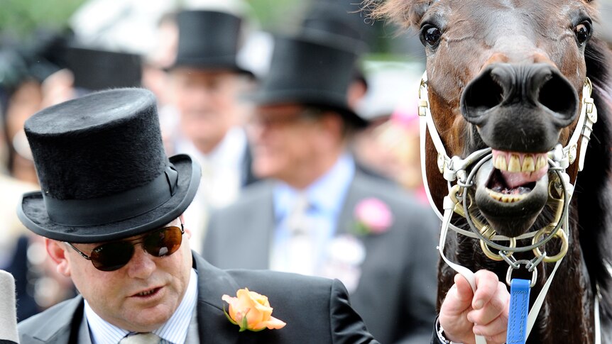 Moody with Black Caviar after Ascot victory