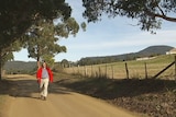 Dirt road on pilgrimage route to St James Cygnet