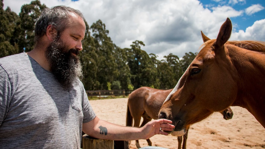 A veteran pictured with one of the horses being used to help former soldiers readjust, especially those with PTSD