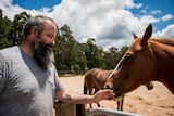 War Veteran Daniel Cooper pats a horse during an equine therapy session.