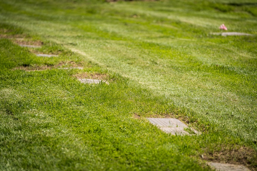A series of simply graves embedded in lawn.