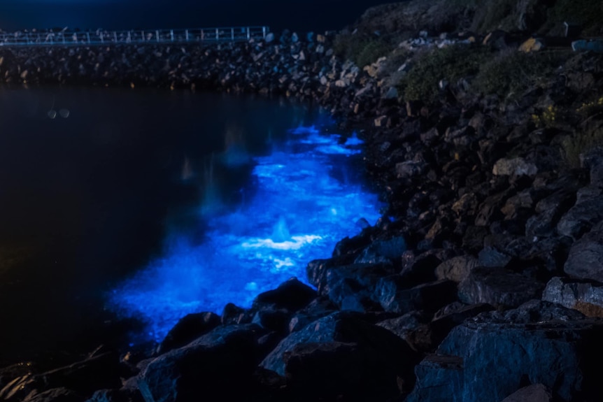 A blue glow in a channel of water, surrounded by rocks.