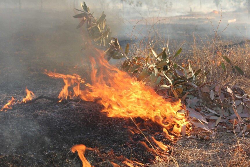 A small fire burns at the Jigija Indigenous fire training program