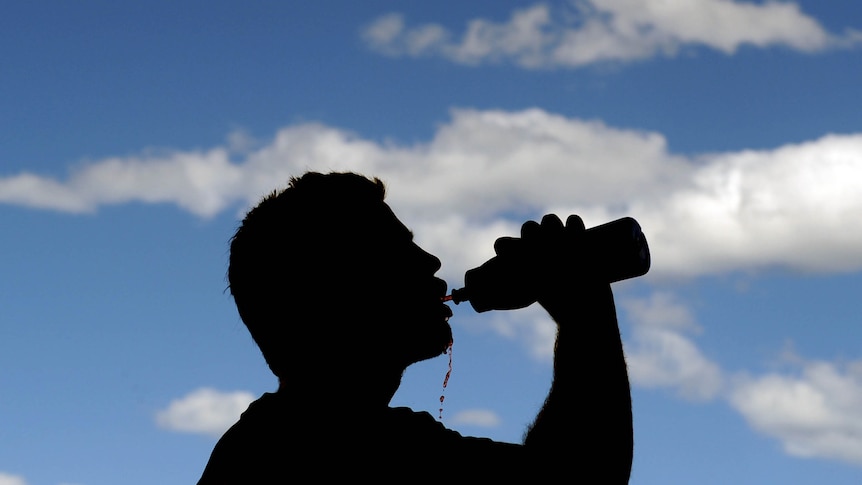 Showdown over sports drink labelling
