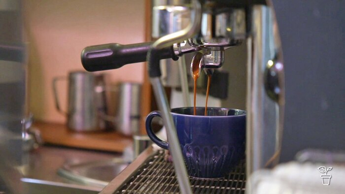 Coffee pouring into a cup from a coffee espresso machine