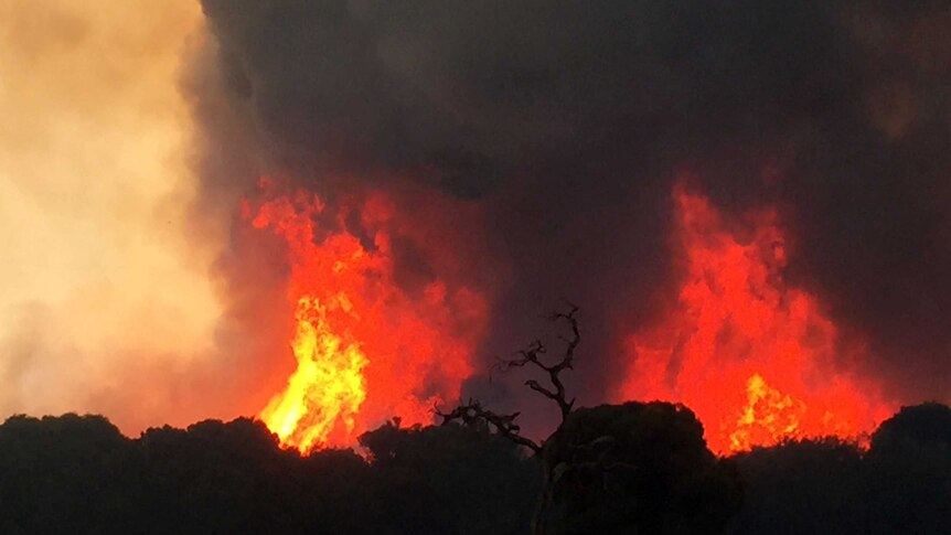 A bushfire is burning near the town of Wokalup in South West WA