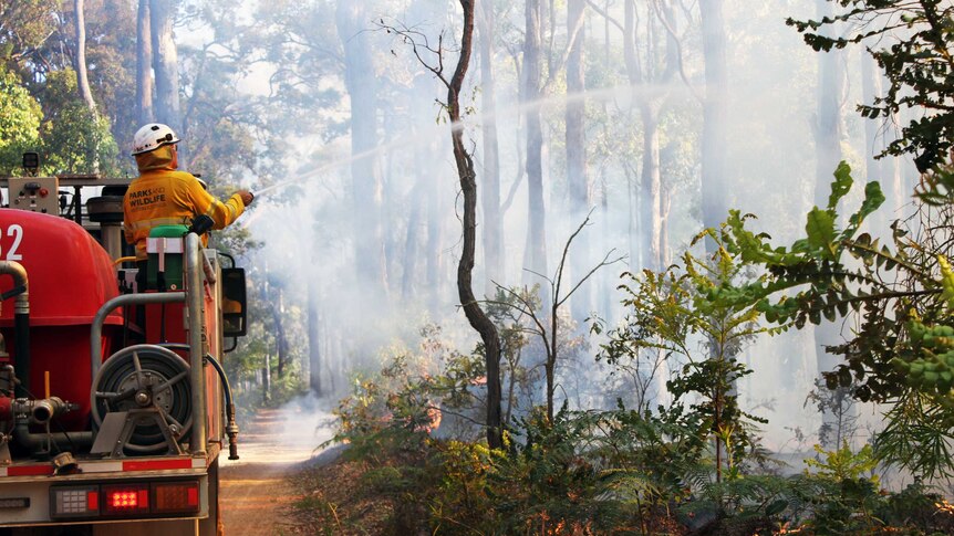 A firefighter is standing on a fire truck and pointing a hose into bush that is burning as part of a prescribed burn in Manjimup