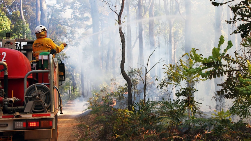 A man on the back of fire truck hoses burning bushland.