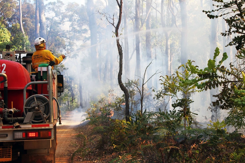 A man on the back of fire truck hoses burning bushland.