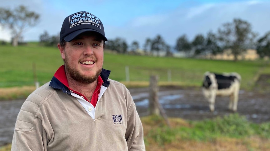 man in paddock with cow in background