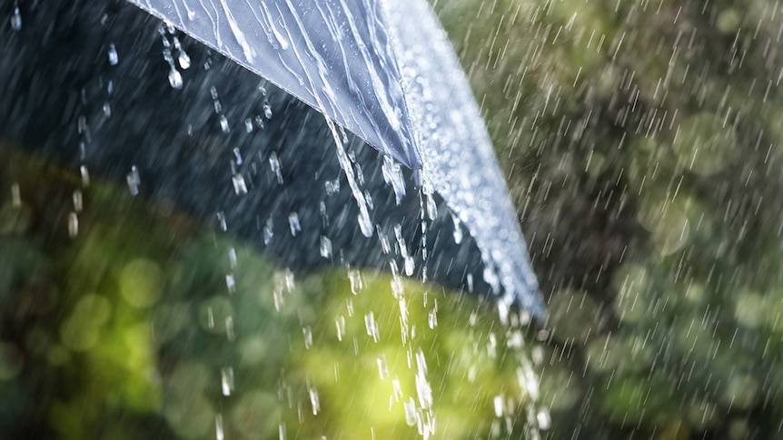 Close-up of rain falling on umbrella with greenery in background.