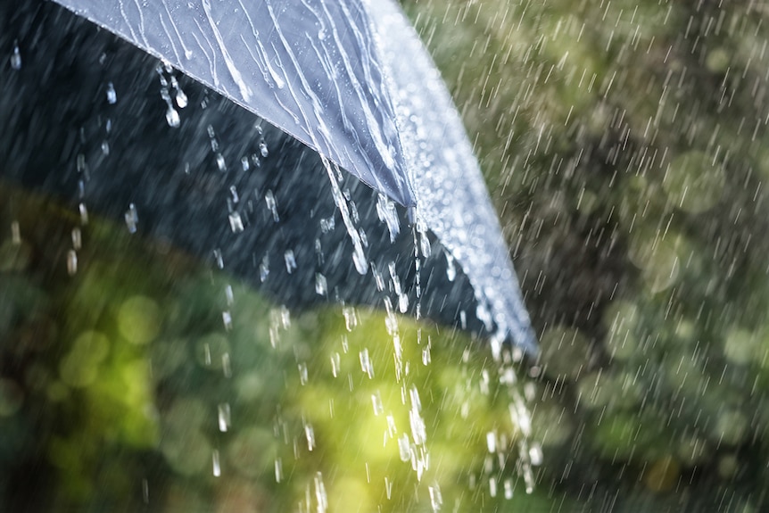 Close-up of rain falling on umbrella with greenery in background.