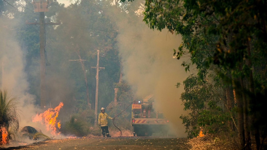 Firefighters tackle the Parkerville bushfire