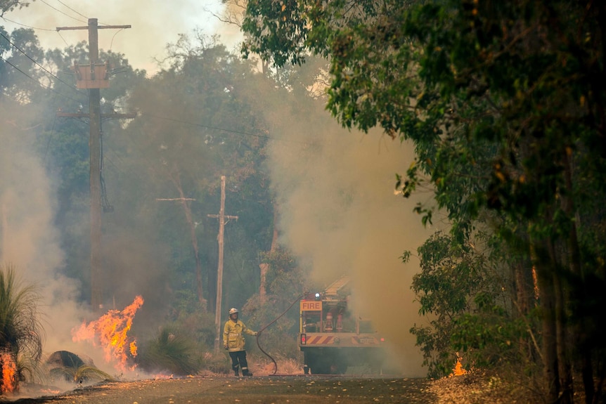 Firefighters tackle the Parkerville bushfire
