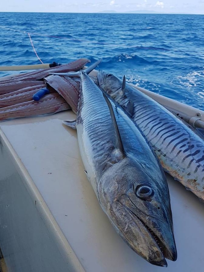 Two whole spanish mackerel and mackerel fillets on a boat at sea