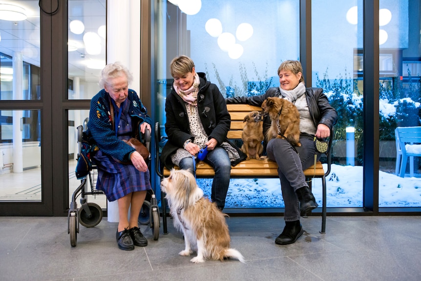 Two women sit on a bench next to a woman in a wheelchair. They all look at a dog. 
