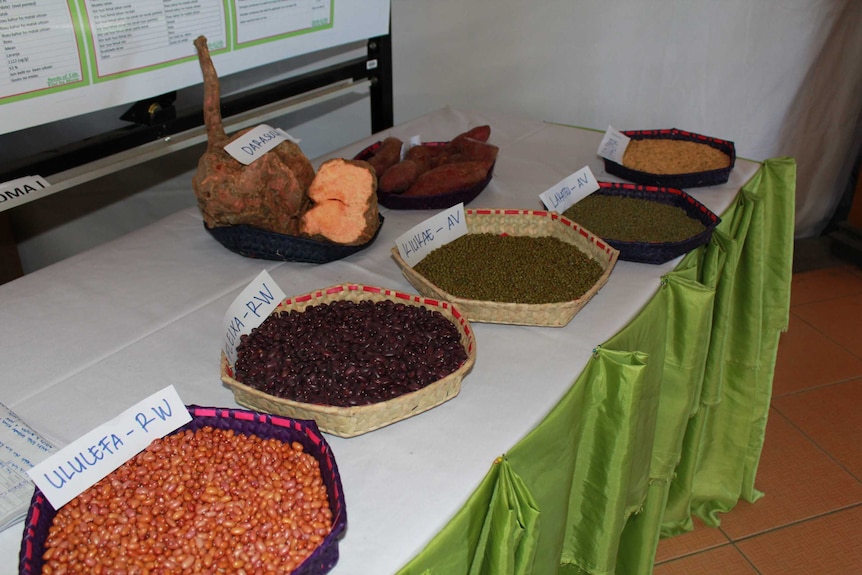 Woven baskets hold bean seeds, cassava and sweet potato in Dili East Timor