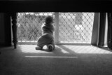 Black and white photo of child looking out window - generic child neglect no faces