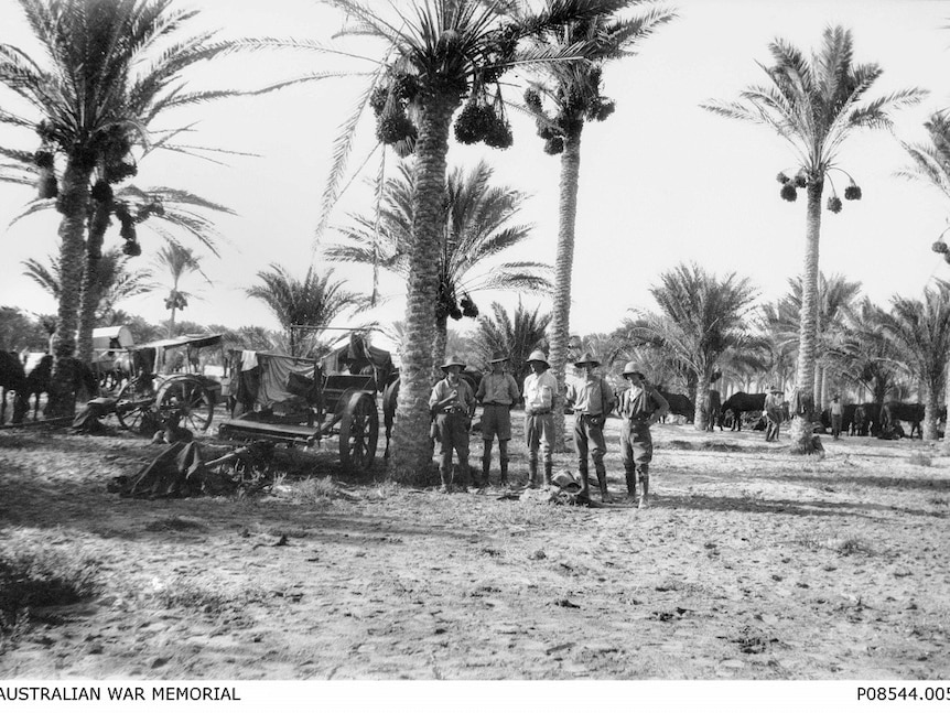 Five soldiers standing under a date palm