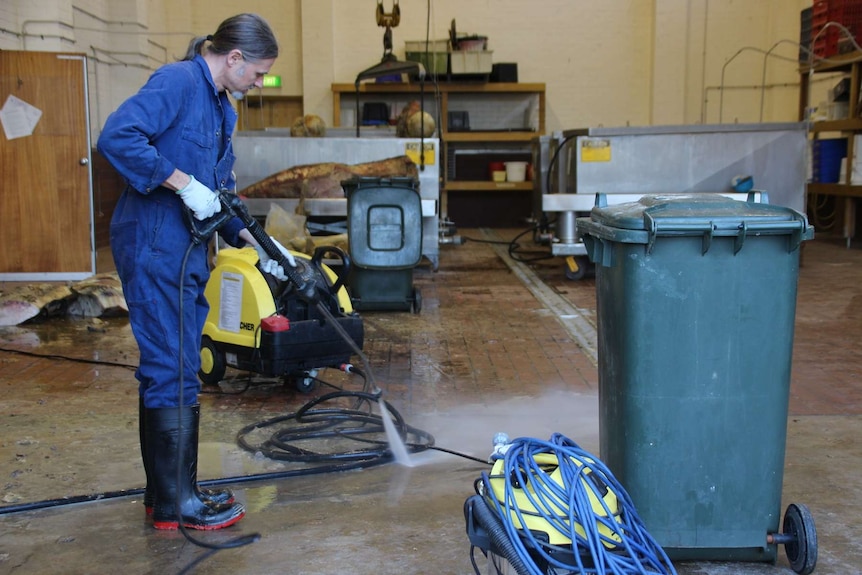 A man in a blue jumpsuit washes down the floor with a high pressure hose to clean up whale remains