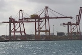 A wide shot of Fremantle Port showing cranes against the background of sky.