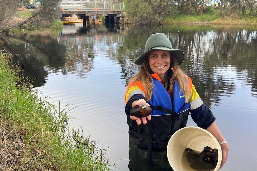 A woman holds freshwater mussels.