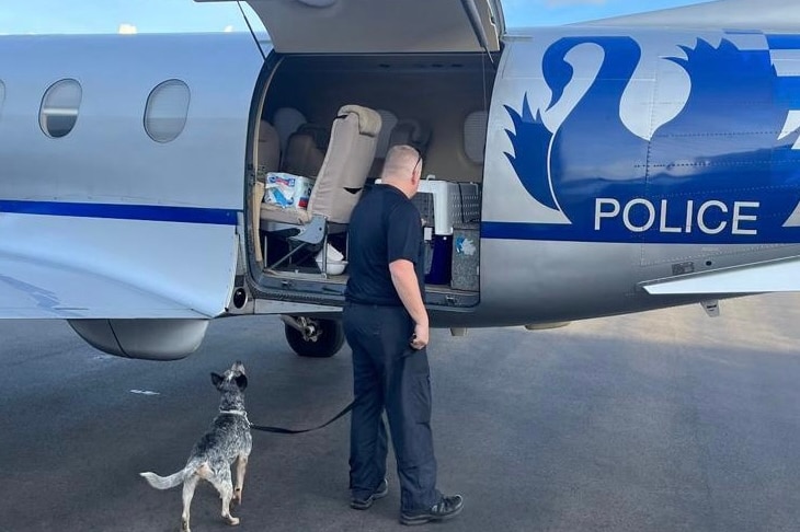 A man and a dog standing near a plane's open door.