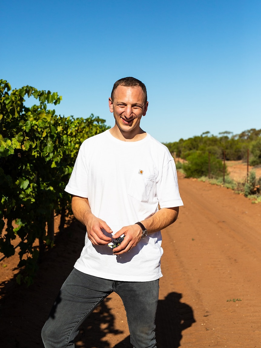A man is standing in a vineyard wearing a white shirt. The sky is a deep blue and the leaves on the vines are green.