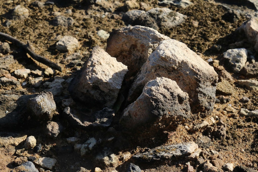 Close-up of rocks.