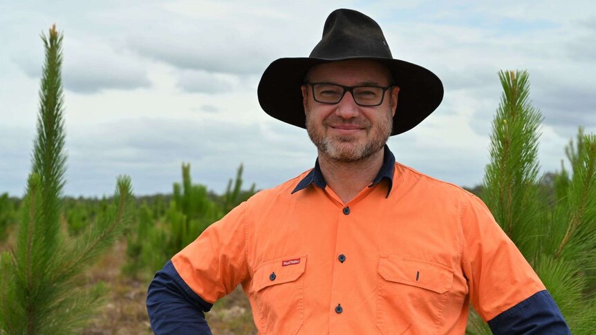 A man wearing hi-vis and a hat looks at the camera, smiling in a pine plantation.