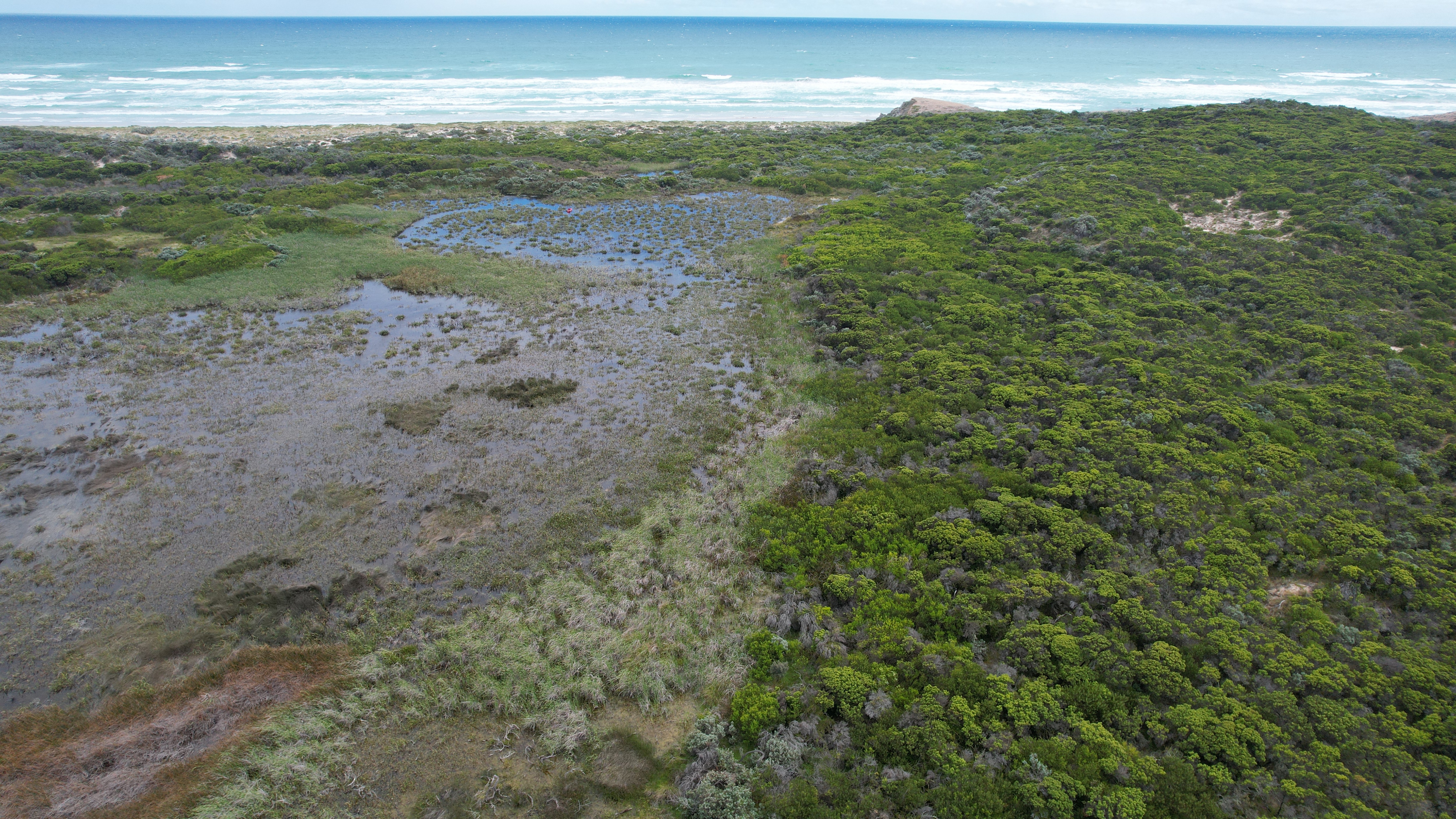Una vista sobre marismas con poca vegetación y agua pantanosa.