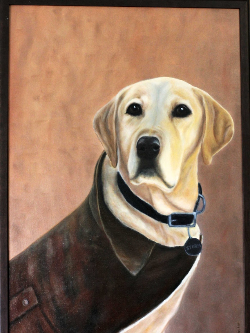Painting of Storm, an explosive detection dog
