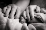 A black and white image of a father's and mother's hands and a baby's tiny foot.