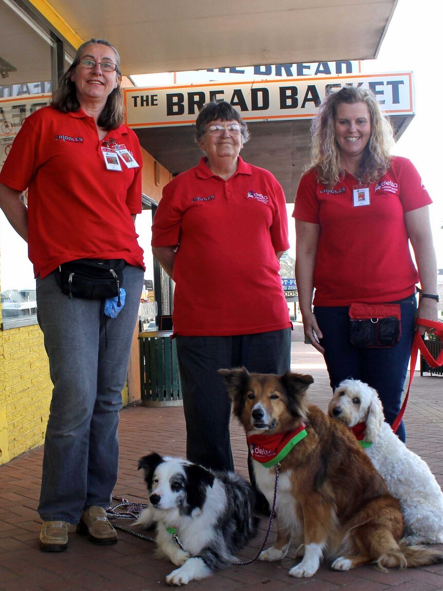 Therapy dogs with their handlers