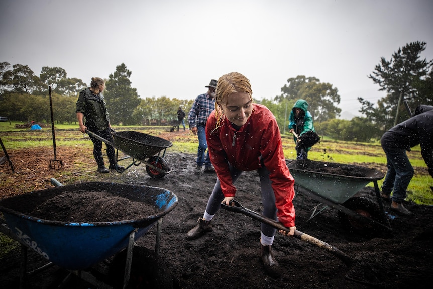 A woman wearing a red jacket shovels dirt in the rain as men with wheelbarrows walk behind.