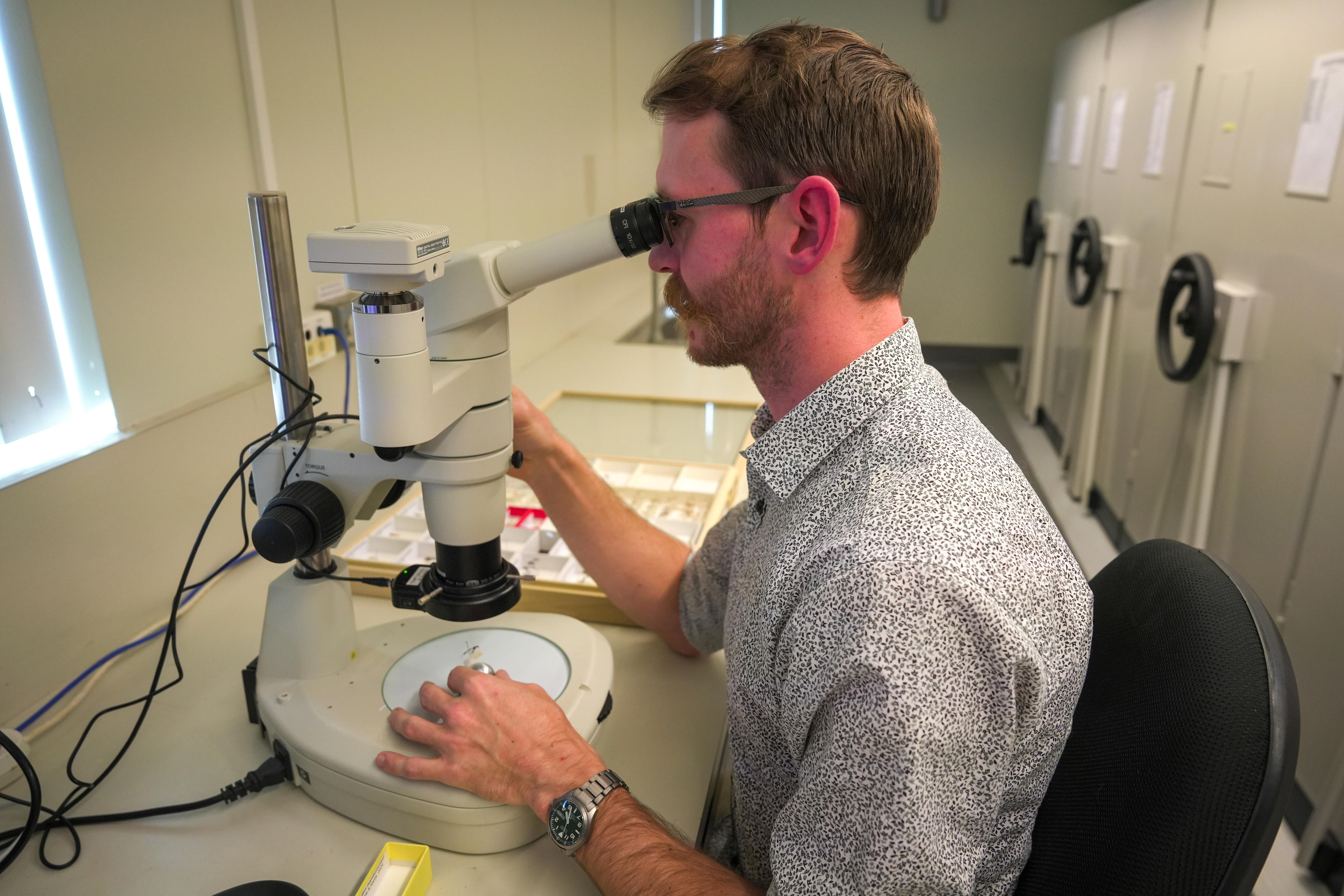 A young, bearded man sits in a laboratory, examining something under a microscope.
