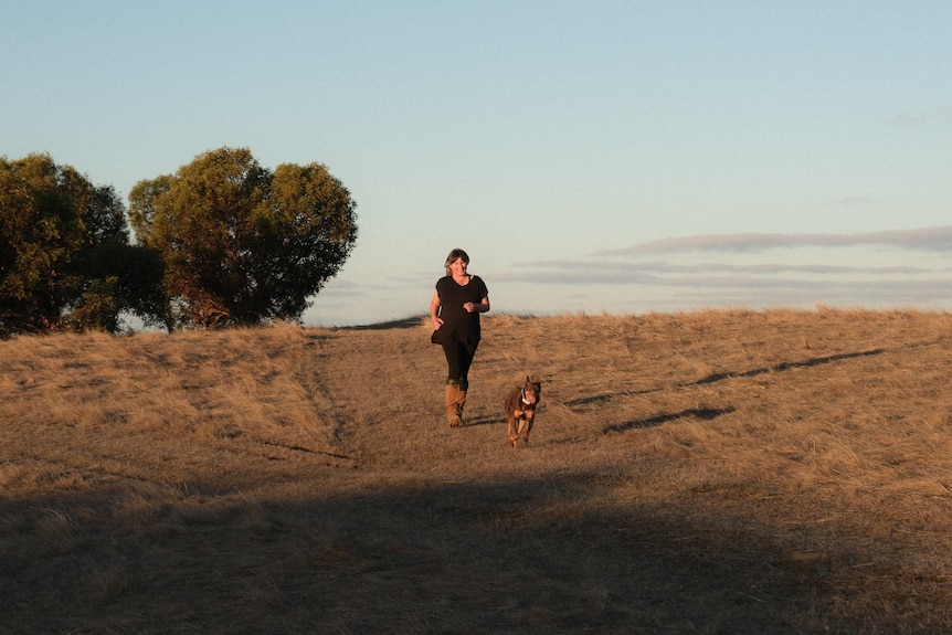 A woman and a brown kelpie are running down a slope in a grassy paddock in early morning light. 